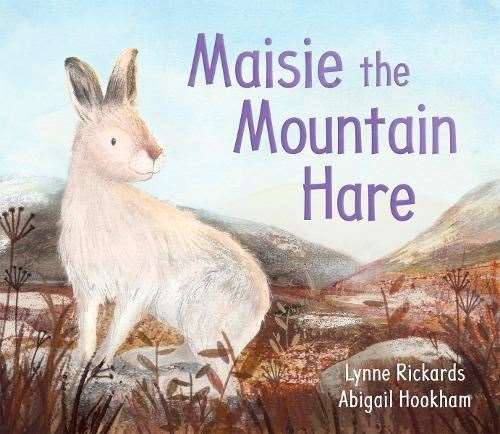 Maisie the Mountain Hare.