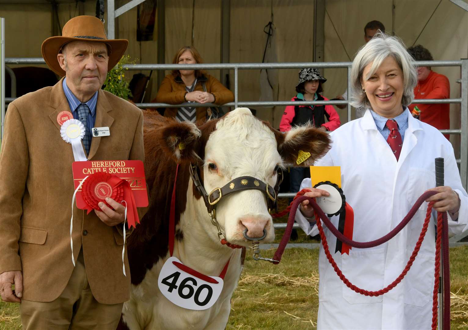 Livestock competition. Picture: James Mackenzie.