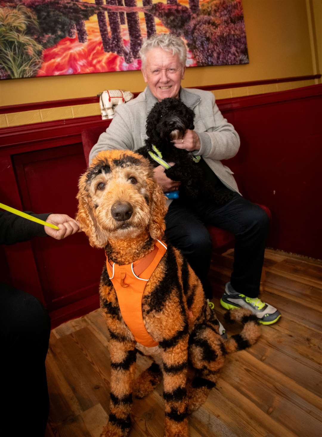 Alan Ryan and Teddy with Luther aka 'Tigger'. Picture: Callum Mackay.
