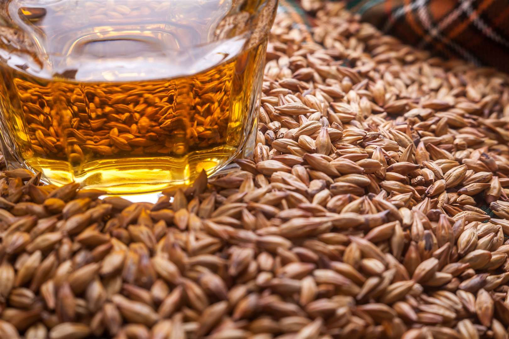 The peaty flavour comes from the malted grain- dried by a peat-fired kiln.