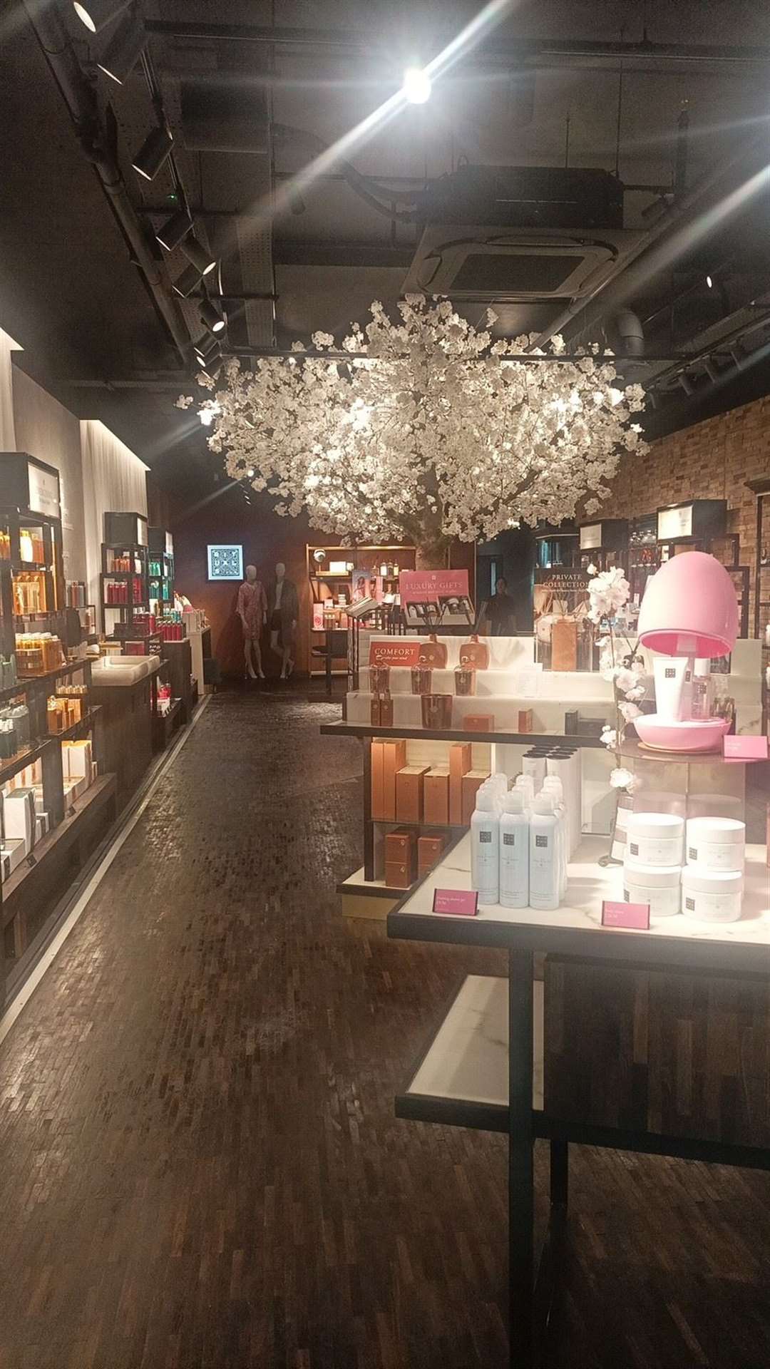 The cherry blossom tree in the store signifies new beginnings.
