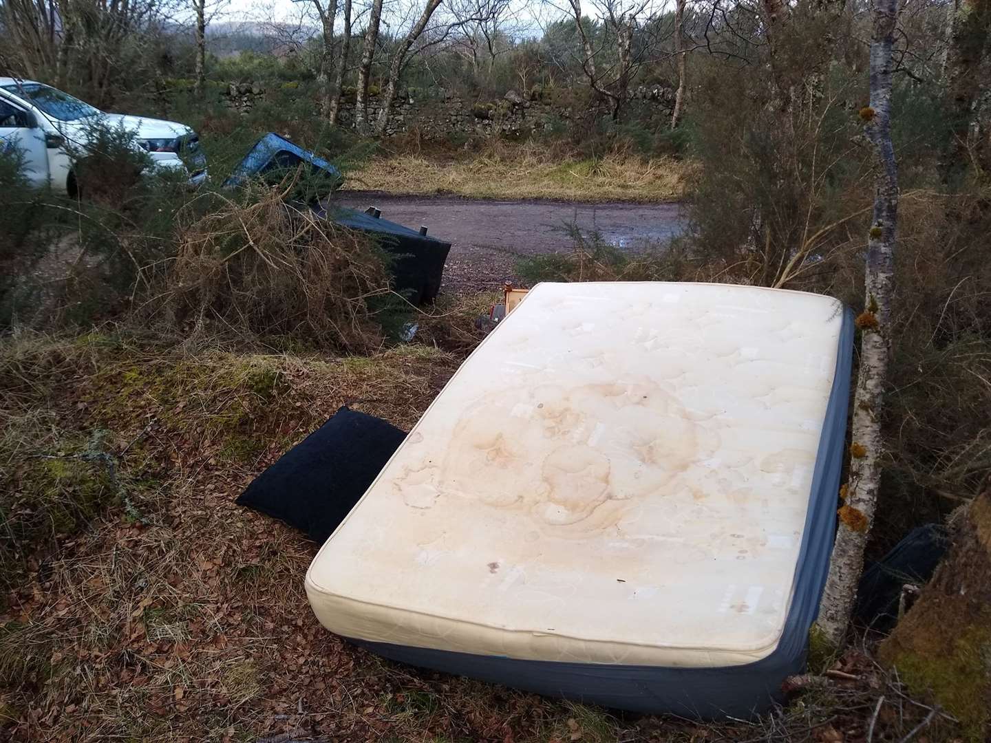 Two mattresses have been dumped.