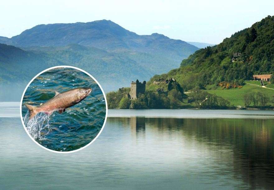 Campaigners are worried about the impact of further hydro schemes using Loch Ness on salmon.