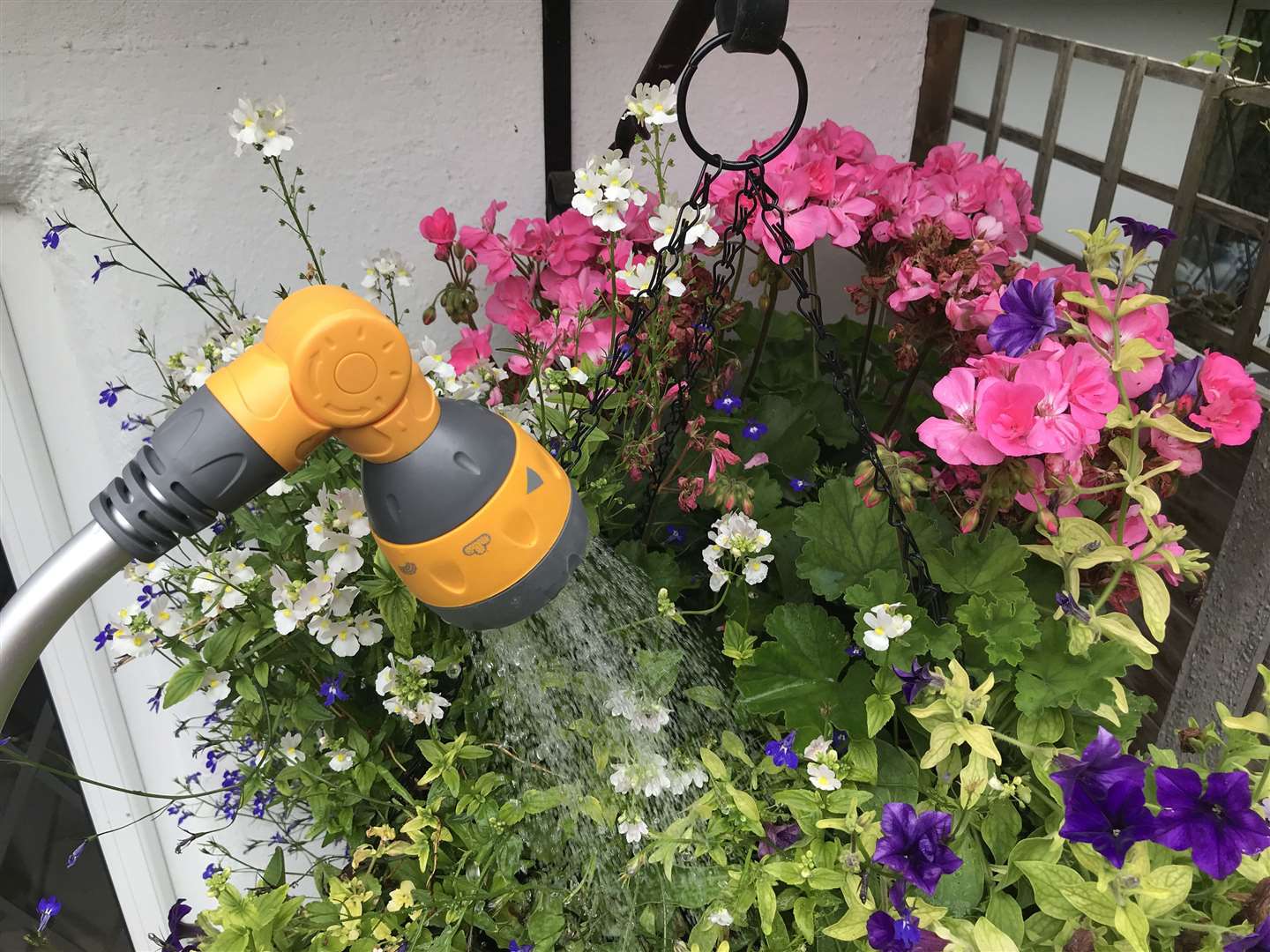 A hose spray being used to water a hanging basket. Picture: Hannah Stephenson/PA