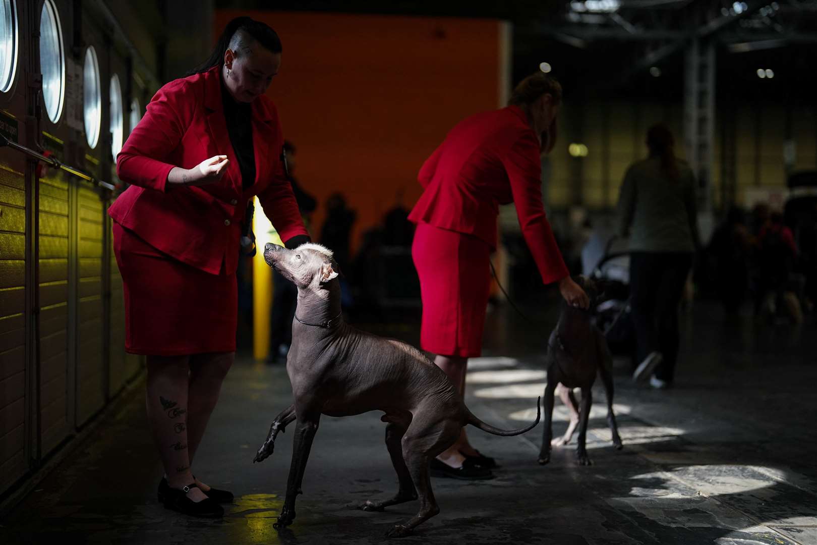 Handlers with their Xoloitzcuintle, a Mexican breed (Jacob King/PA)