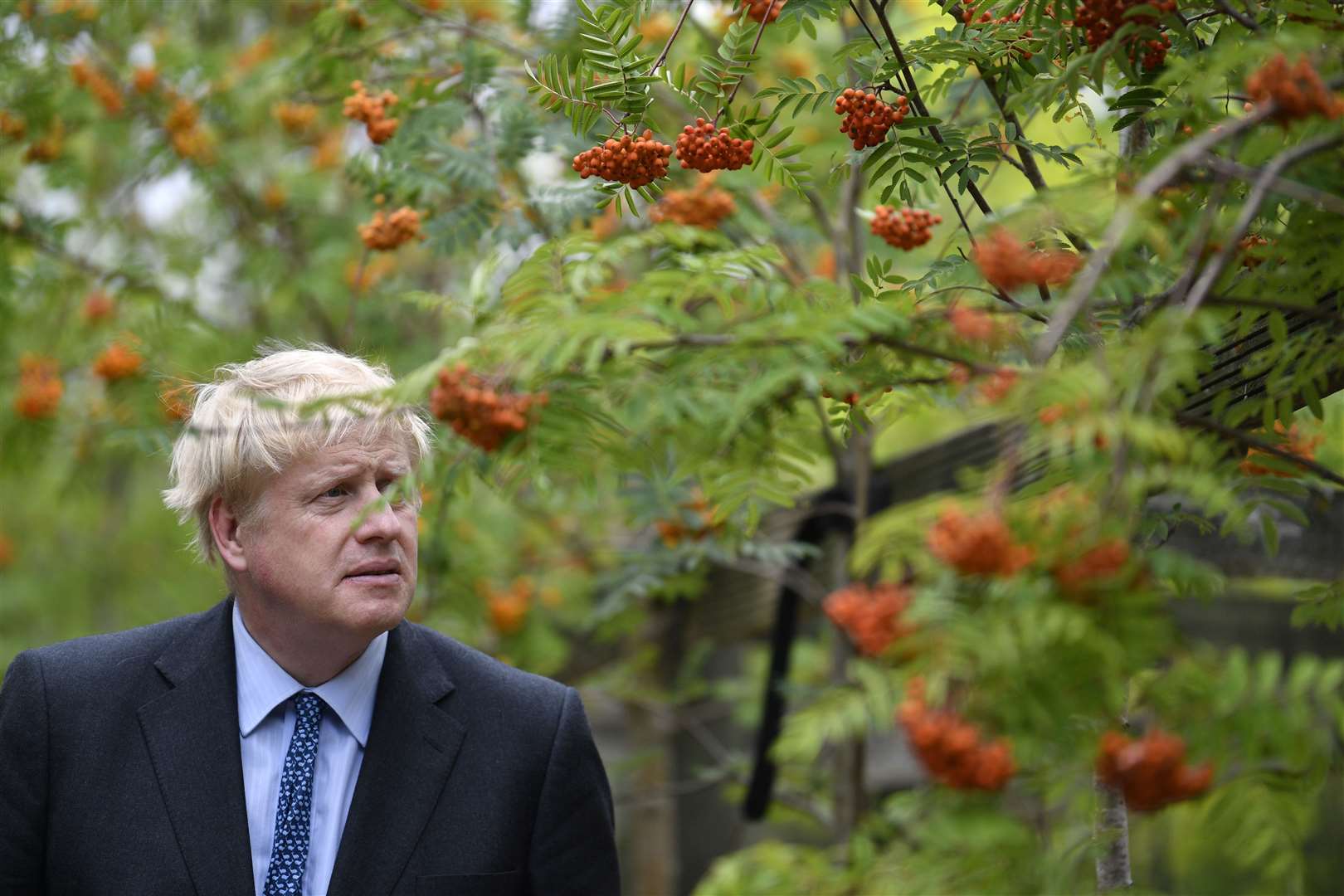 Boris Johnson with a tree (Neil Hall/PA)