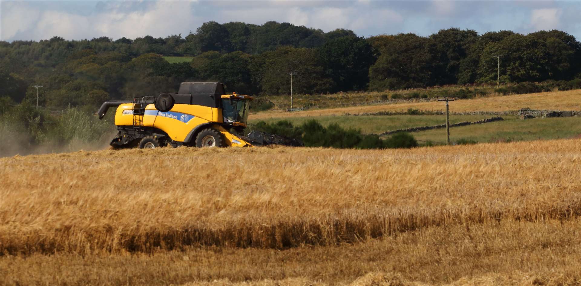 Harvesting has taken place, but some areas are still to finish. Picture: David Porter