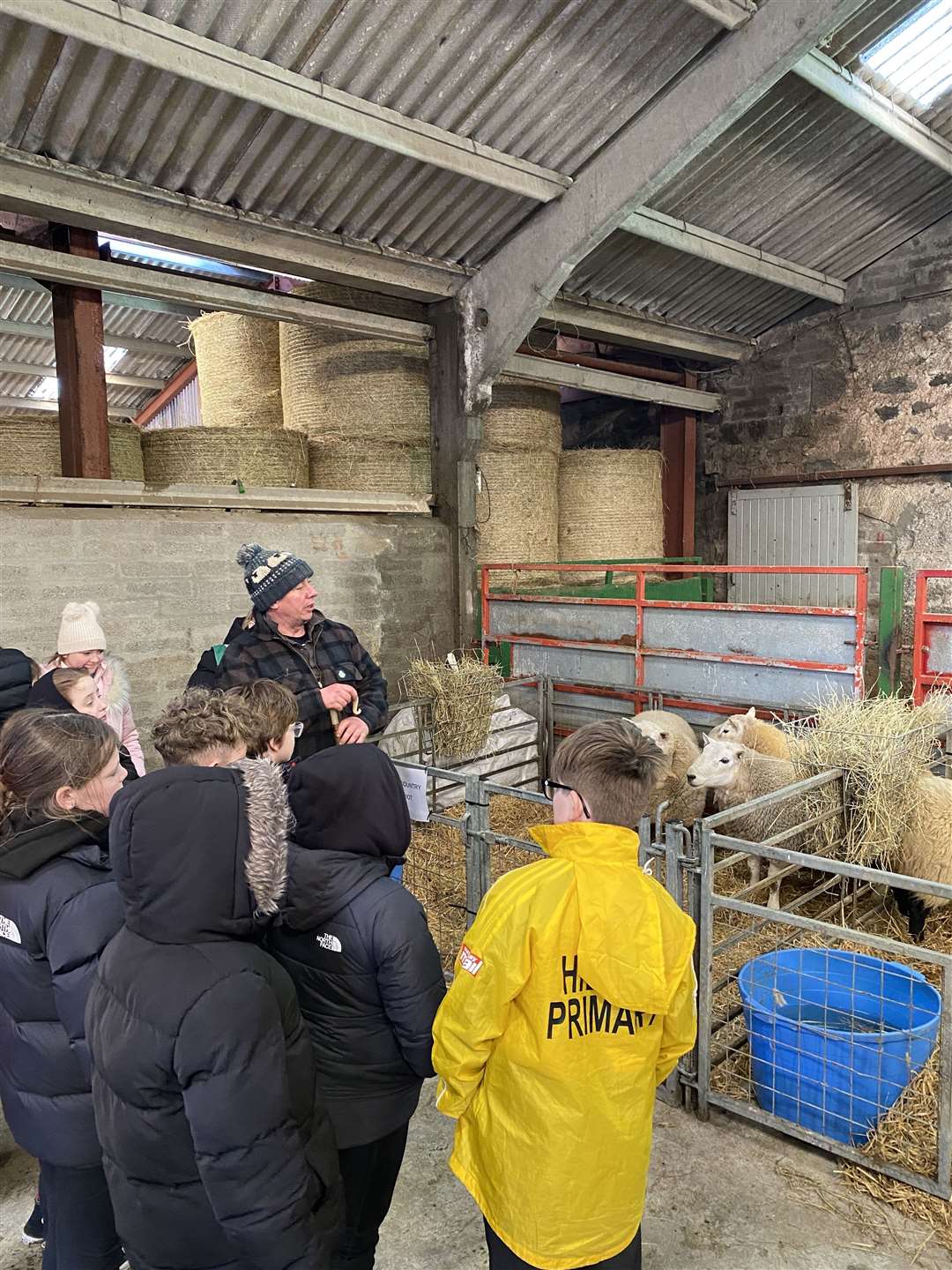 Livestock proved a big hit with the youngsters.
