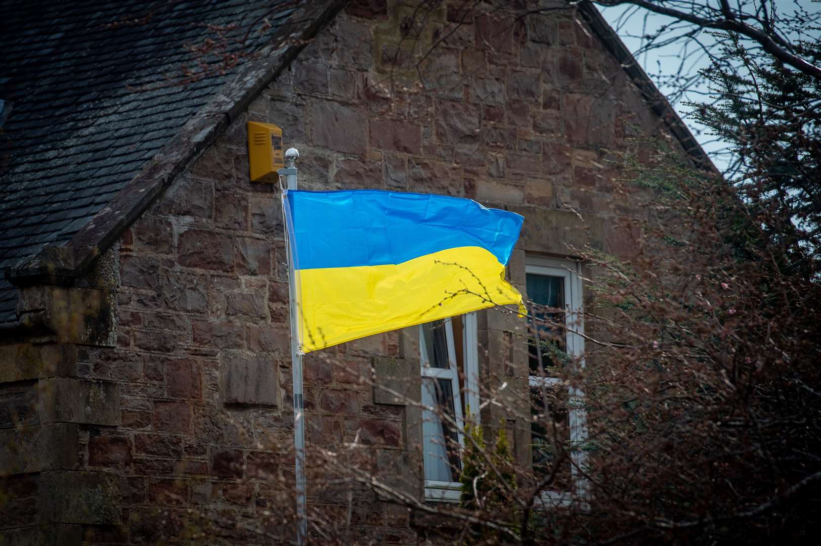 Ukrainian Flag in Muirfield Road, Crown.
