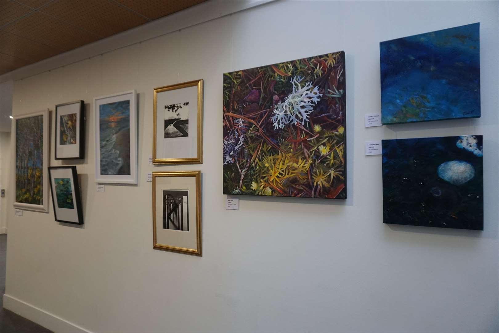 Nairn Community & Arts Centre New exhibit. Pictures: Federica Stefani.