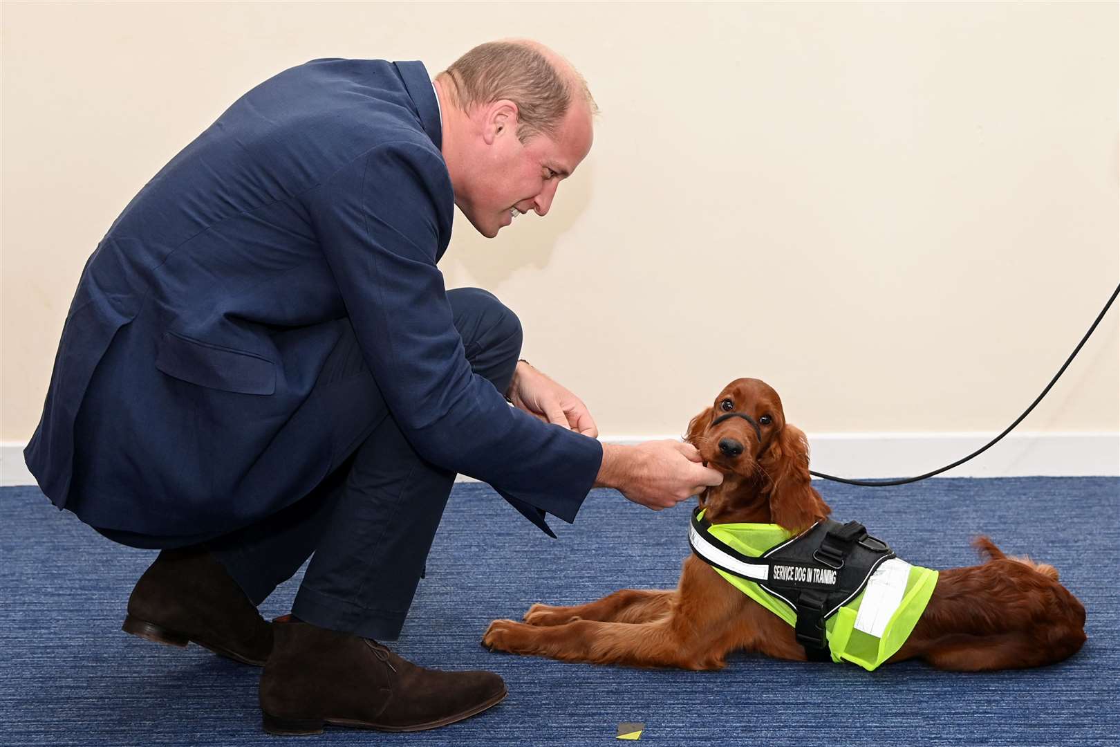 The Duke of Cambridge meets five-month-old Irish setter Tara, who has been trained to provide comfort to those suffering from post-traumatic stress disorder, during his visit to the PSNI Police College in Belfast in September (Tim Rooke/PA)