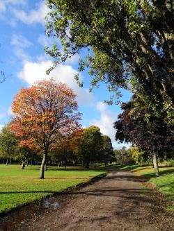 Elgin’s magnificent Cooper Park in the autumn sunshine.