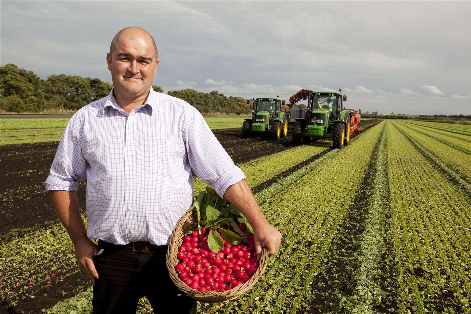 SALAD DAYS: Scott Watson, radish grower at G’s Grower in Feltwell, Norfolk.