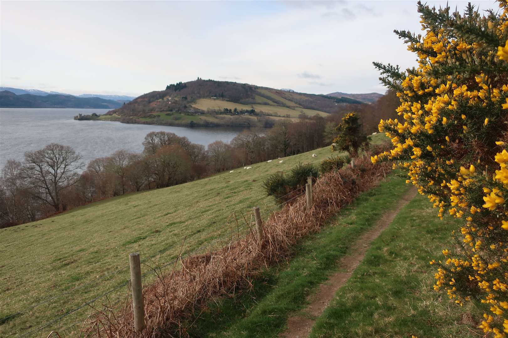 The narrow path as you turn towards the village with Urquhart Castle visible across the bay.
