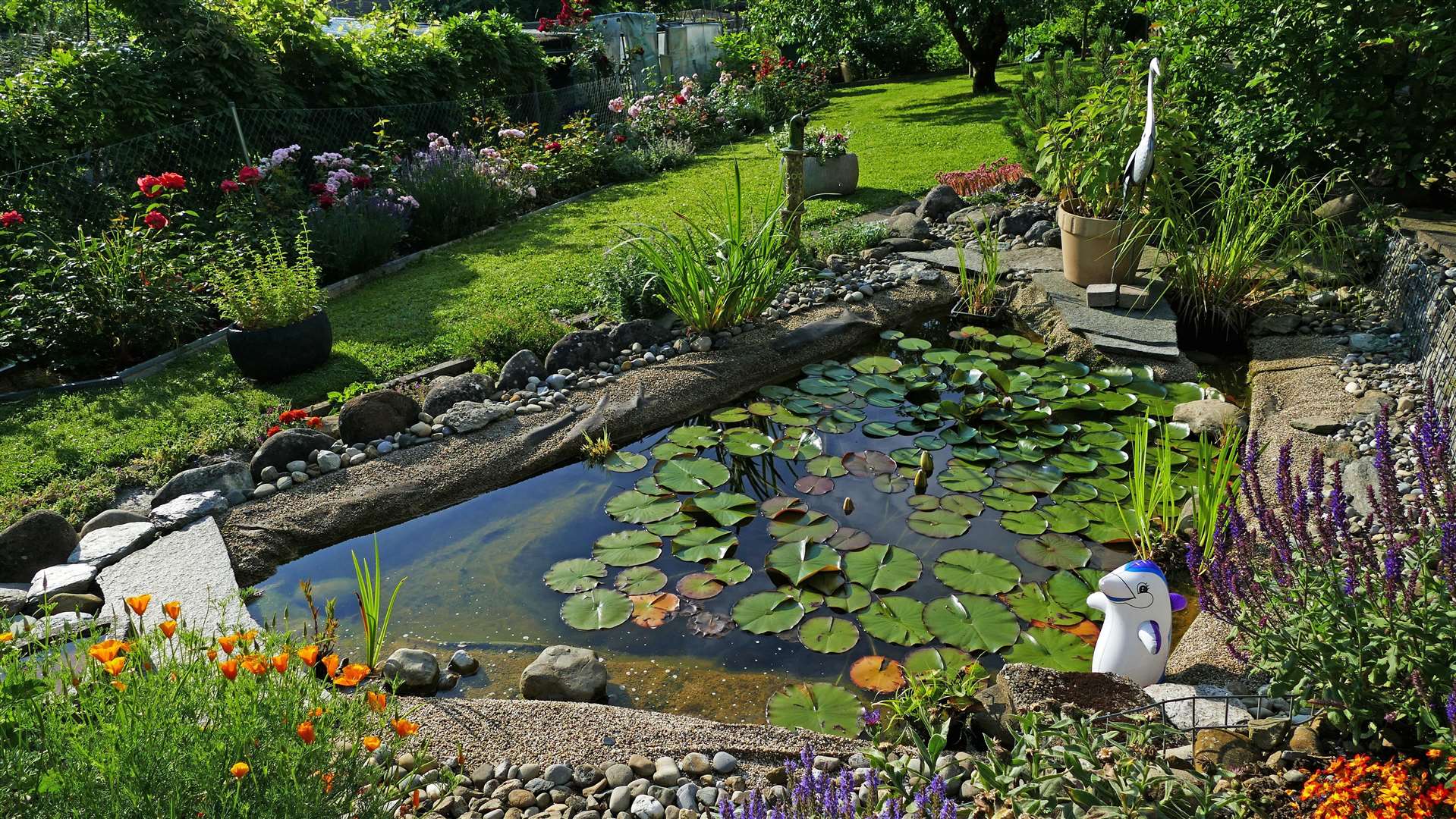 Ponds can help attract a wide range of wildlife.