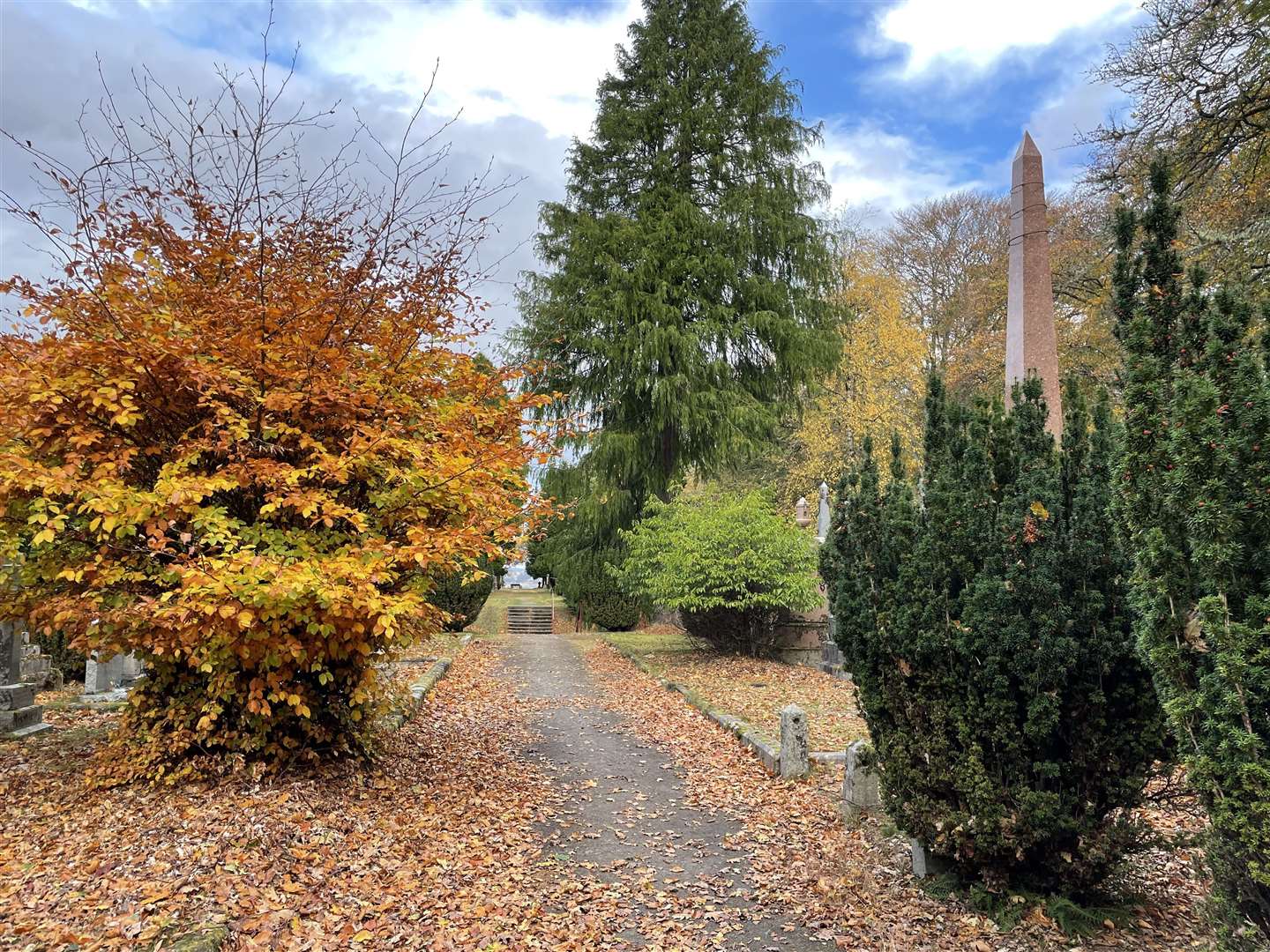 Autumn colours at Tomnahurich Cemetery. Picture: Jennifer Laws
