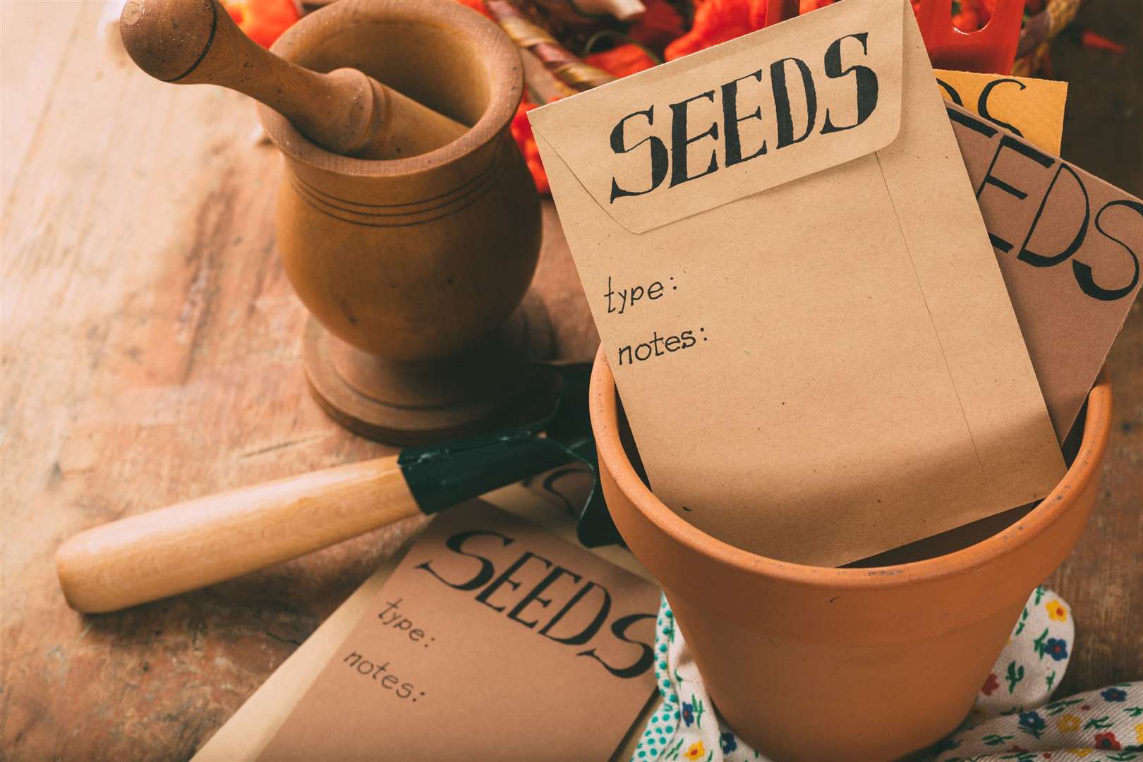 Collect your own seeds and put them in envelopes to plant in the spring. Picture: iStock/PA