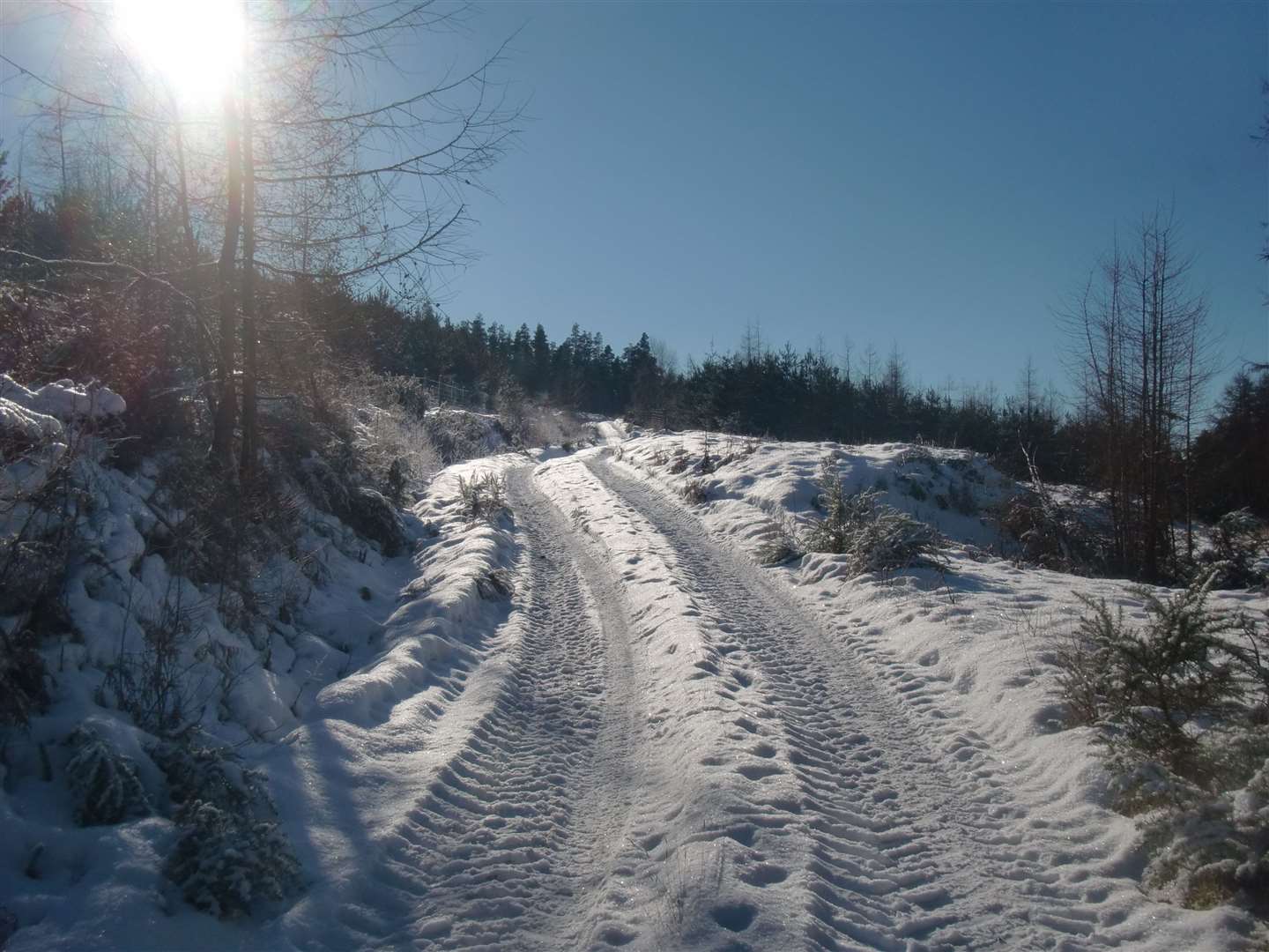 Tractor tracks in the snow made the walking easier.