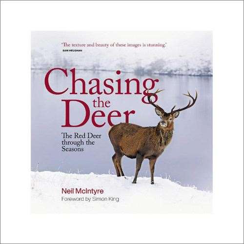 Chasing The Deer.