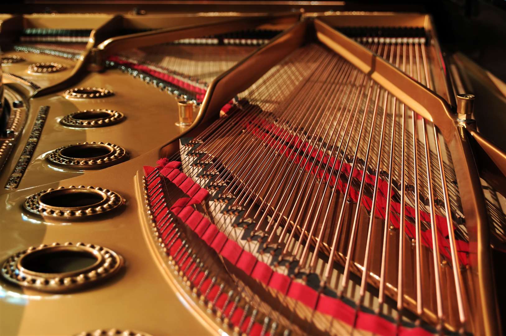 Getting to know the inner workings of the instrument can help you understand the sound better.