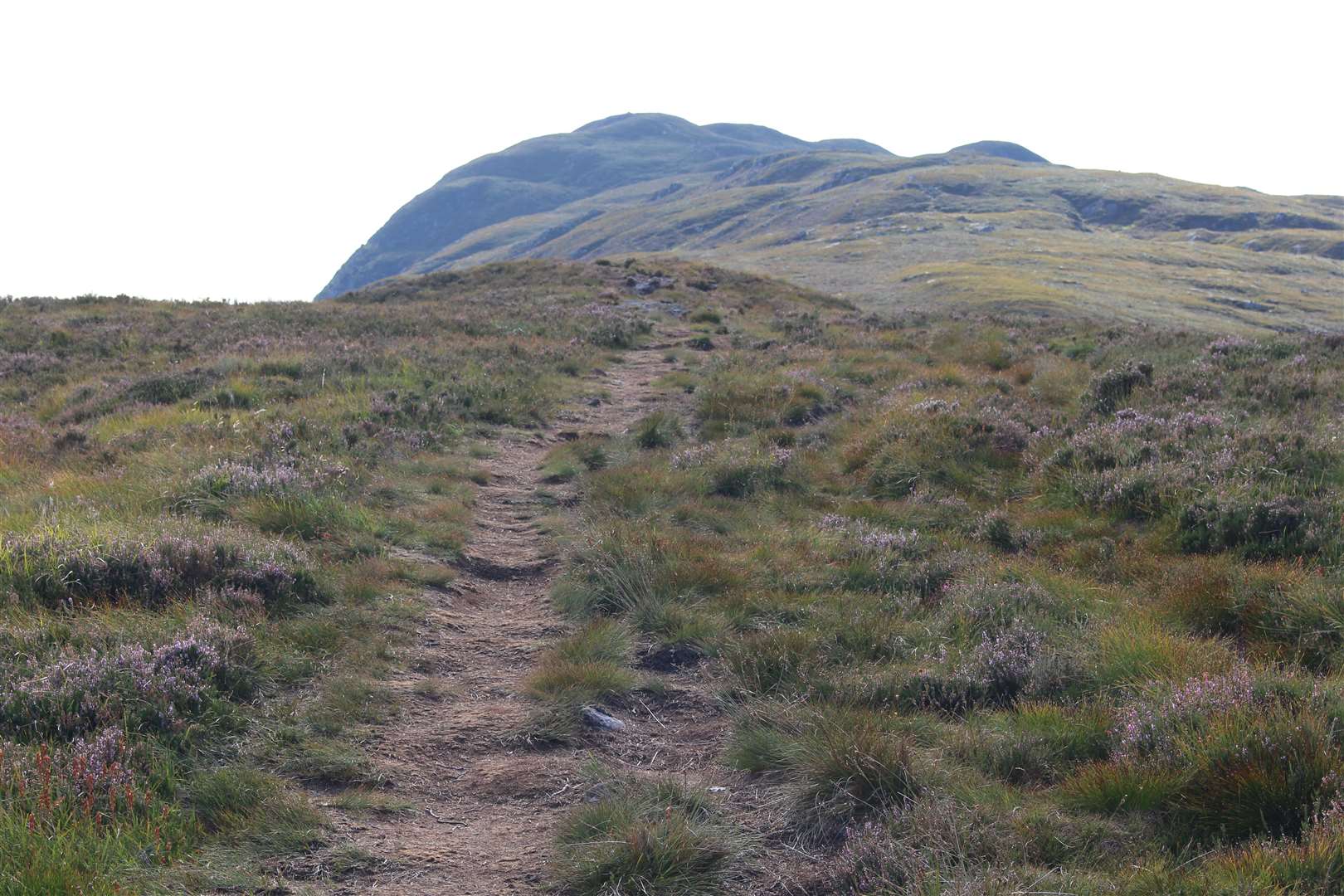A well-used path follows a line to Meall Fuar-mhonaidh.