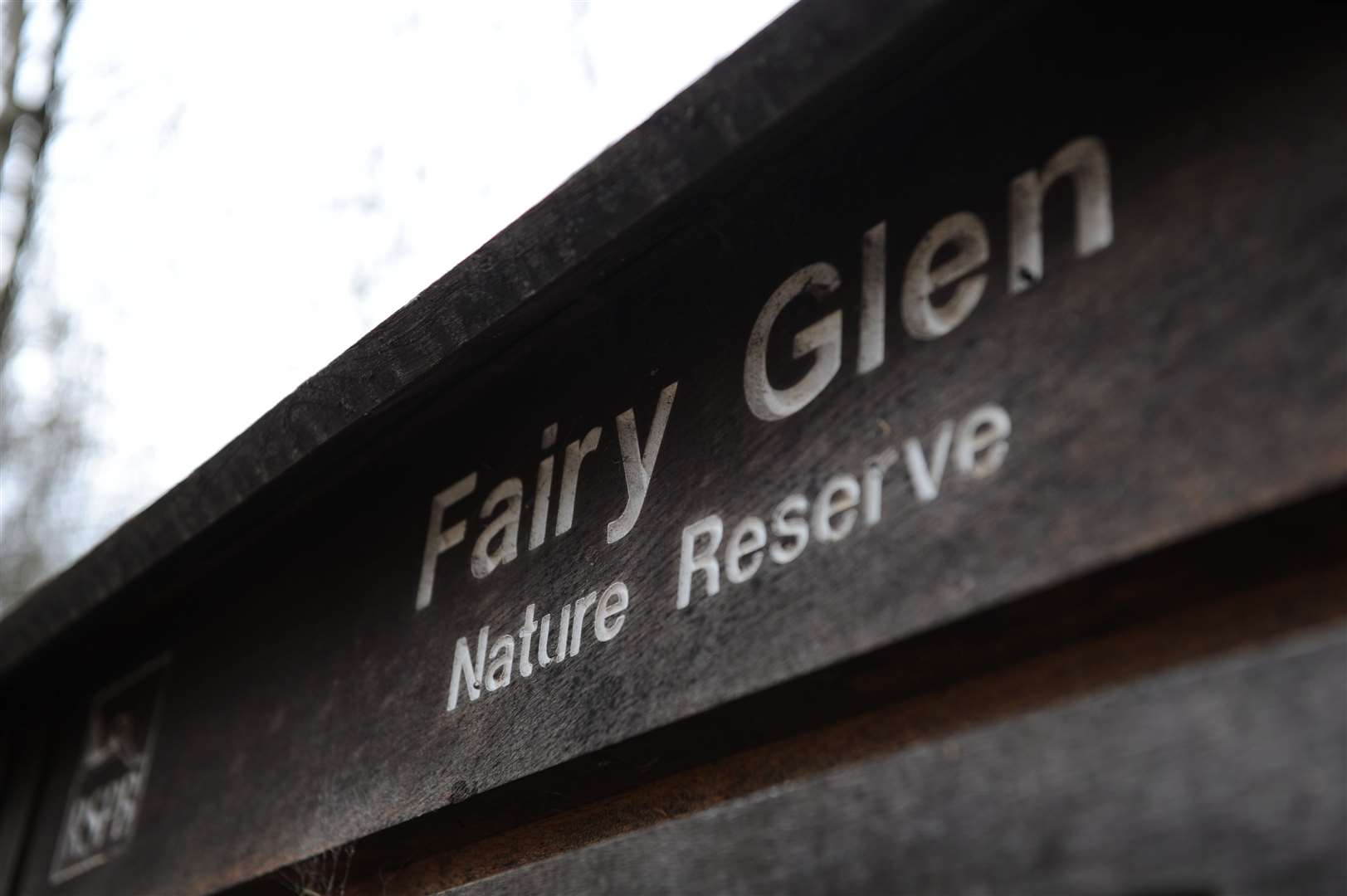 The Fairy Glen.