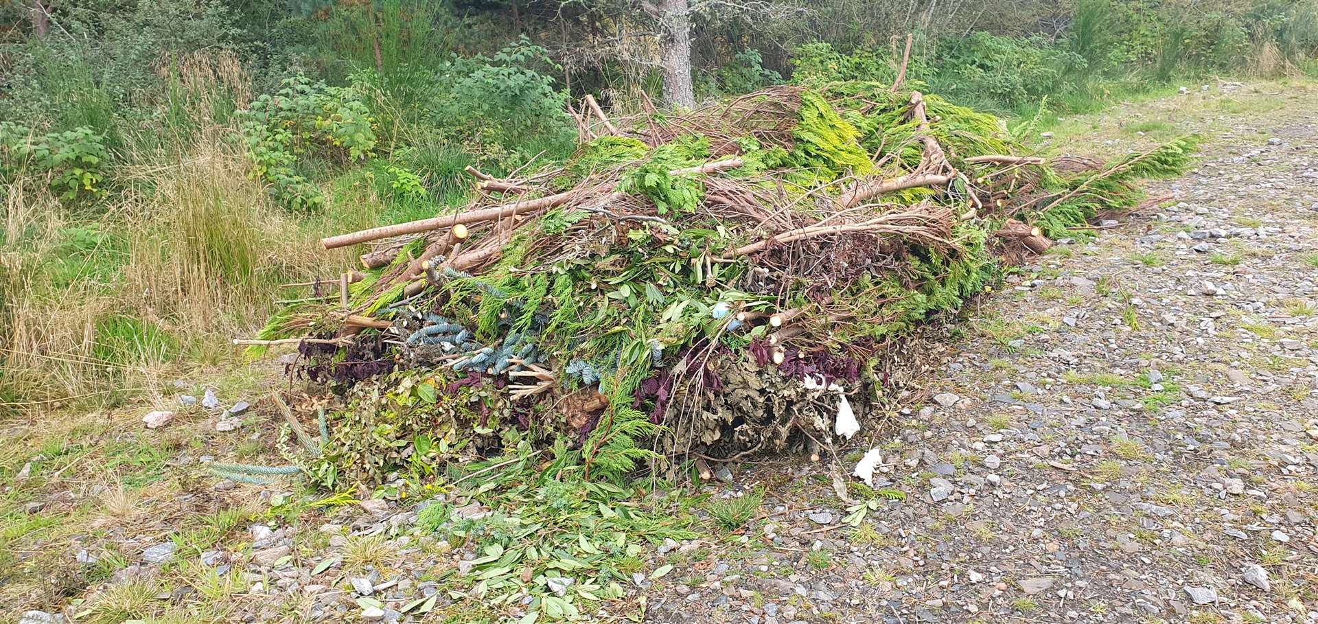 There have been problems with fly-tipping in the area around Moy.