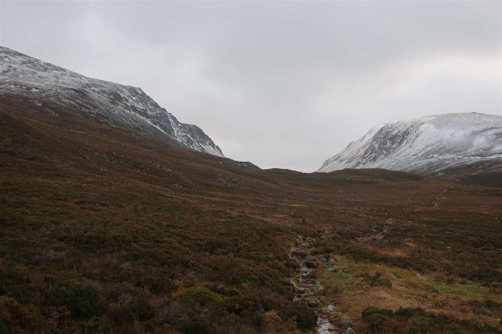 The Lairig Ghru path continues ahead but our route goes left up the heather slopes.