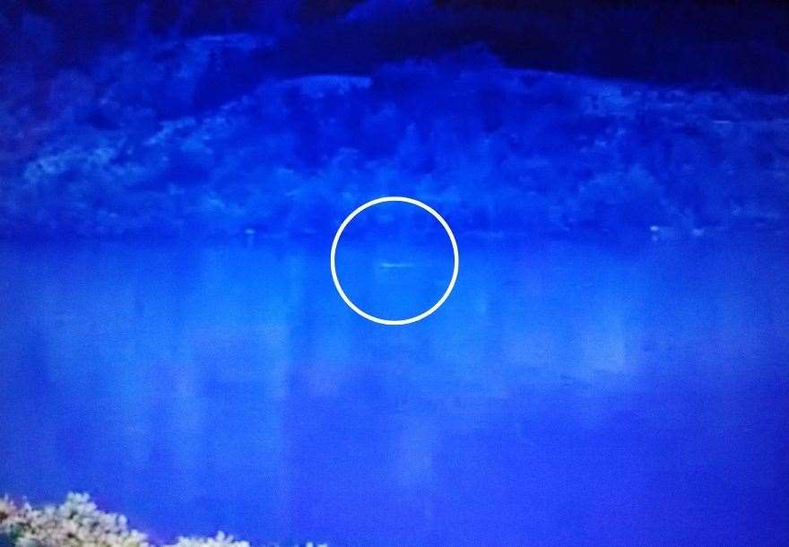Loch Ness webcam watcher Eoin O Faodhagain spotted something unusual earlier this month.