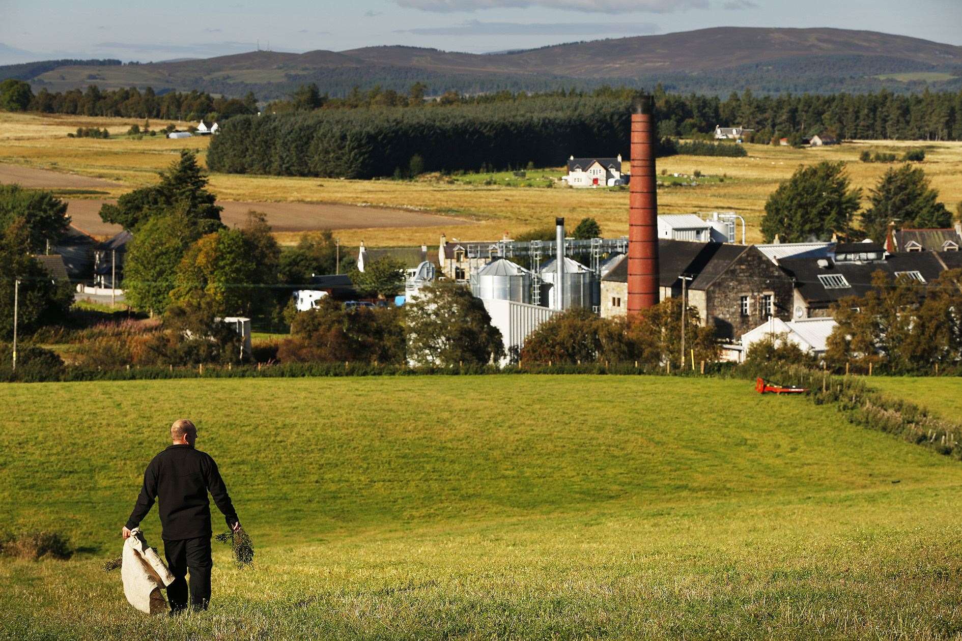 Balmenach is one of Scotland's oldest distilleries. Picture: Murdo MacLeod