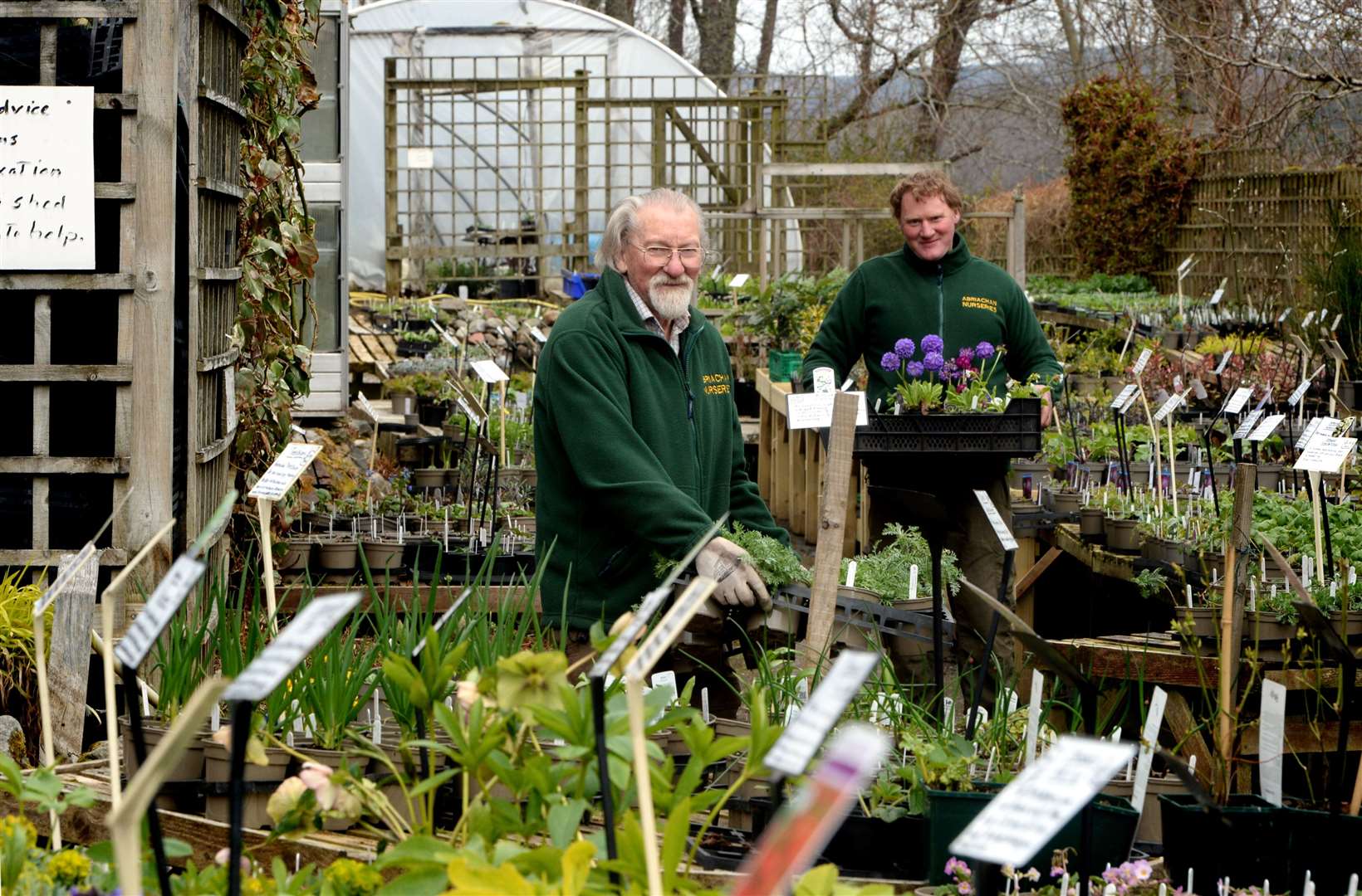 Don and Hamish Davidson at Abriachan Nurseries. Picture: James Mackenzie