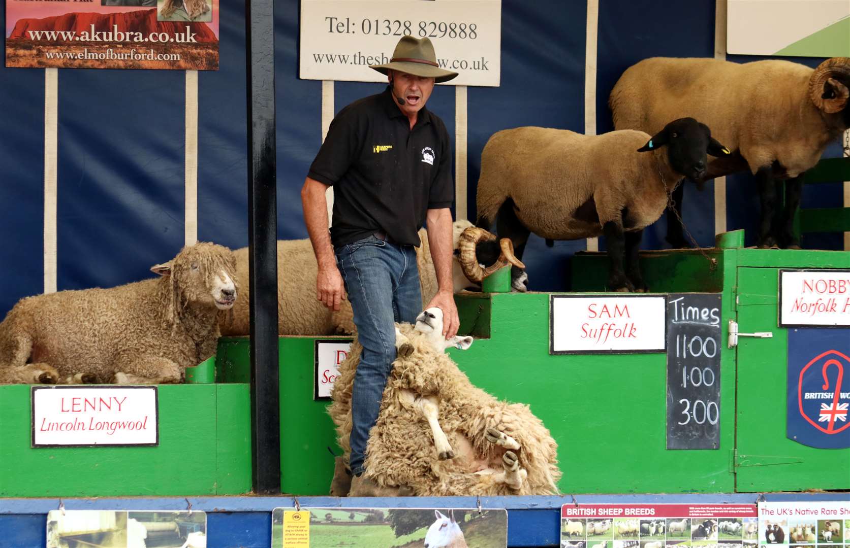 Black Isle Show 2019..The Sheep Show..Photo: James MacKenzie.  Picture No. 044520.