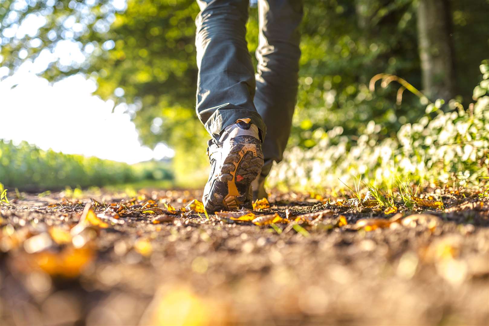 Walking in the country is ideal for both mental and physical health.