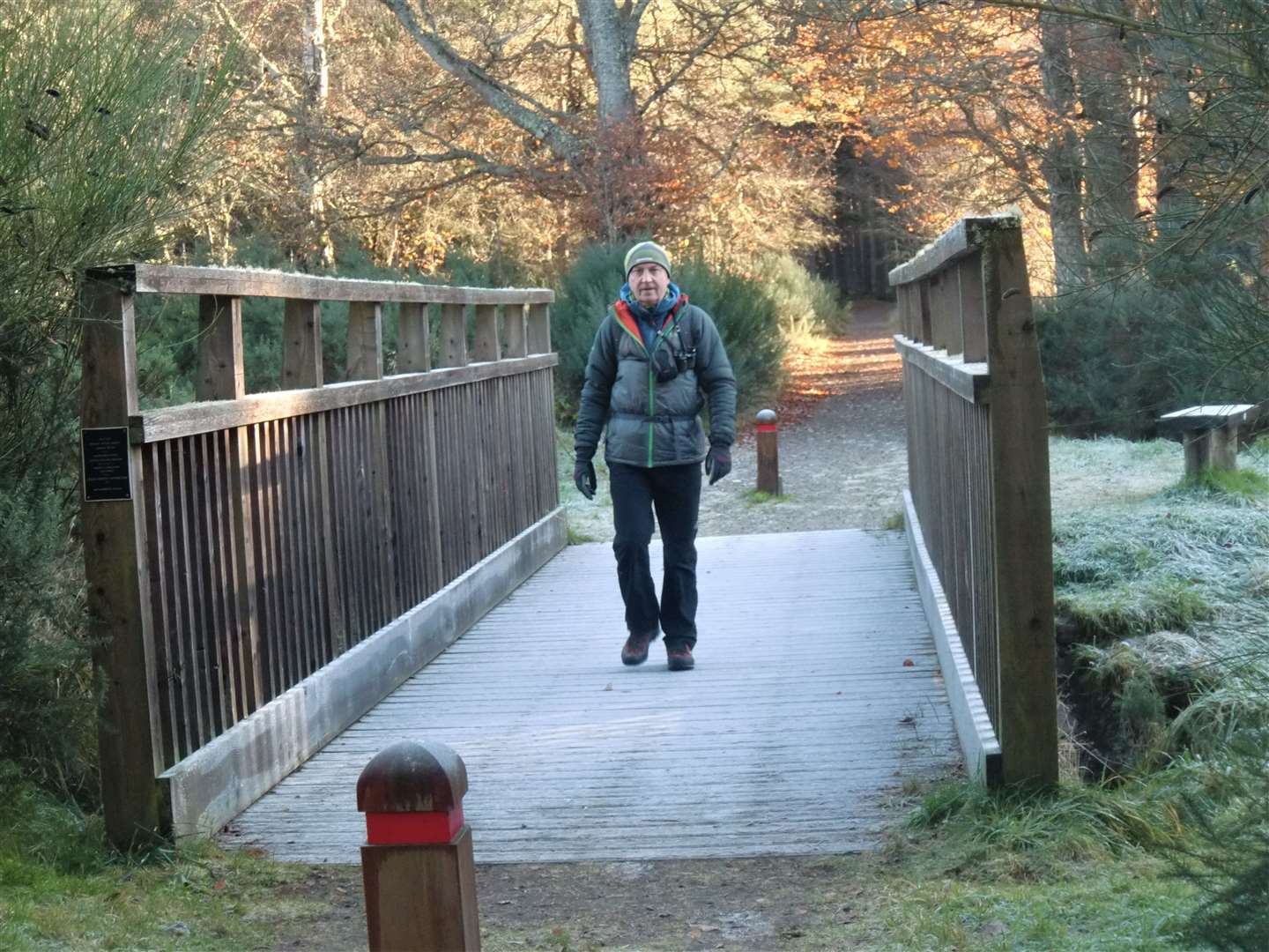 Peter crosses the bridge over the burn shortly after entering Balblair Wood.