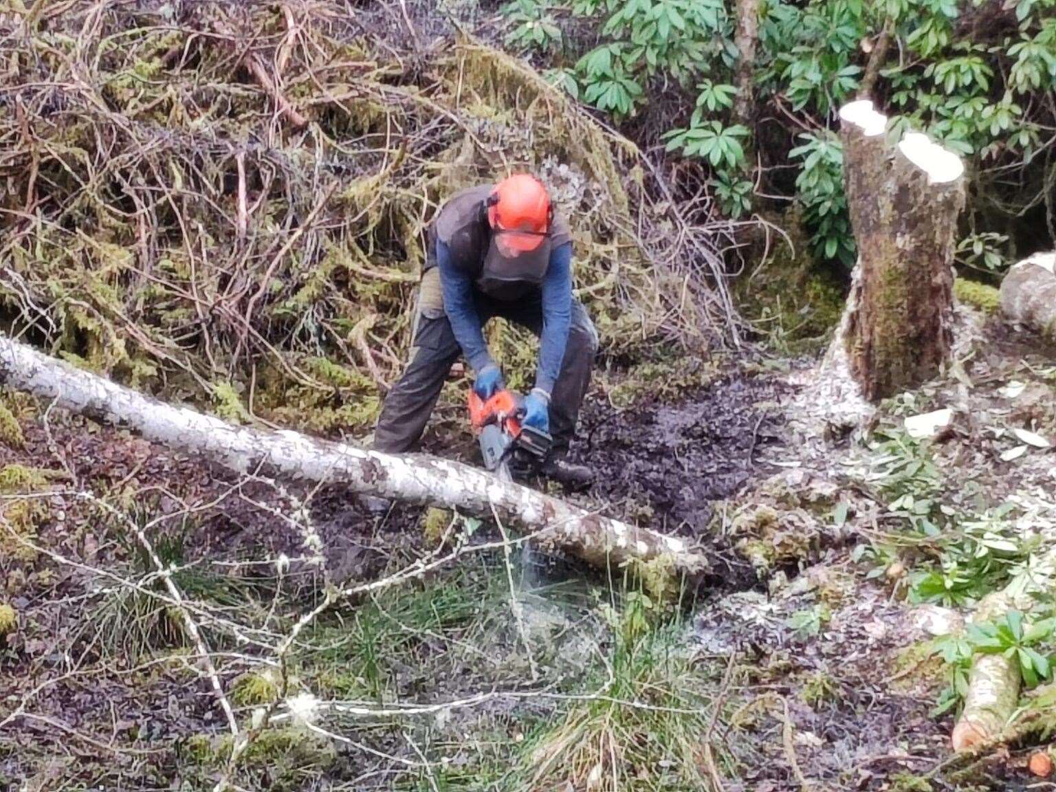 A worker from Pro Forestry Scotland clears overgrowth from the pond on the Boleskine Estate.