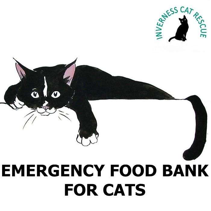 Inverness Cat Rescue has launched a new project.