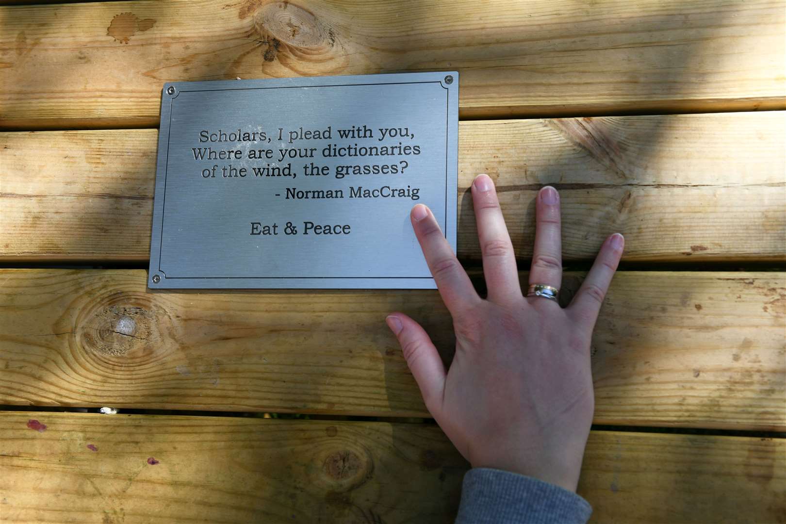 Aoife Lyall curated a number of texts and quotations, chosen to inspire peaceful thoughts, that appear on each table.