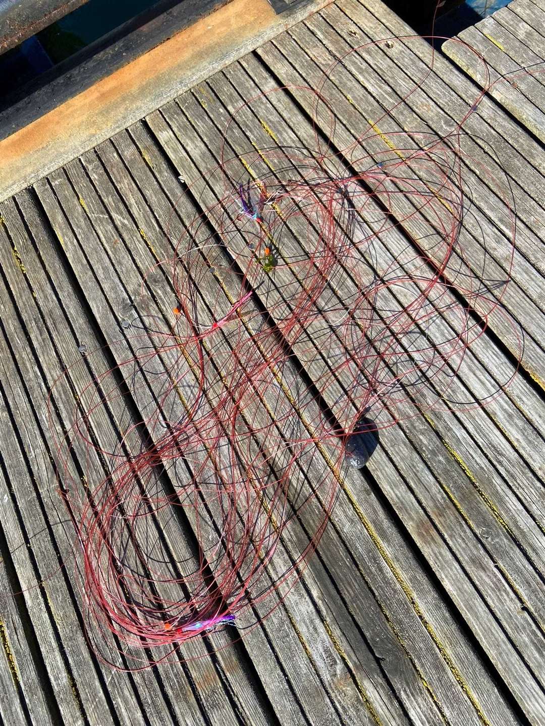 A discarded fishing line at Cromarty Harbour.