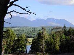 Left: The outline of Ben Nevis comes into view from the forest above Loch Lochy.