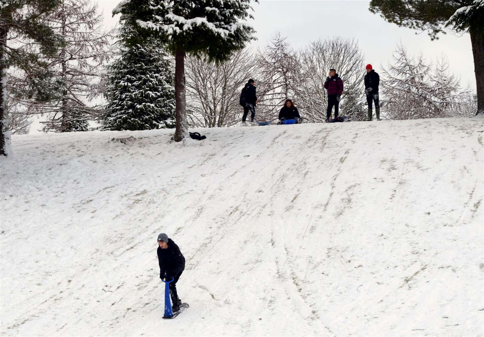 Sledging at Inverness Golf Club. Picture: James Mackenzie.