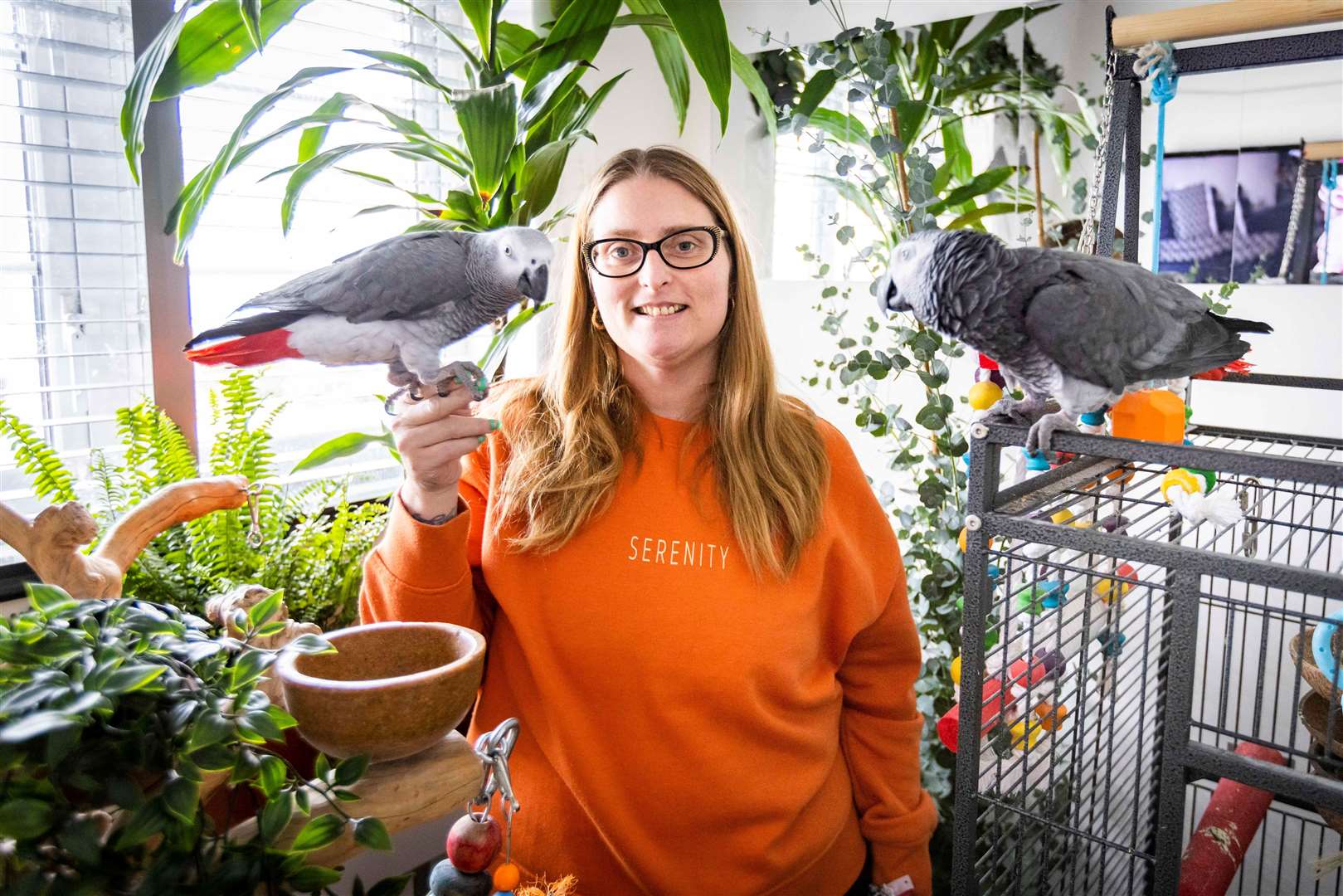 Lesley Herbert with her pet African grey parrots, Alfie and Sonny, in their own room in her Basingstoke home (Camelot/PA)