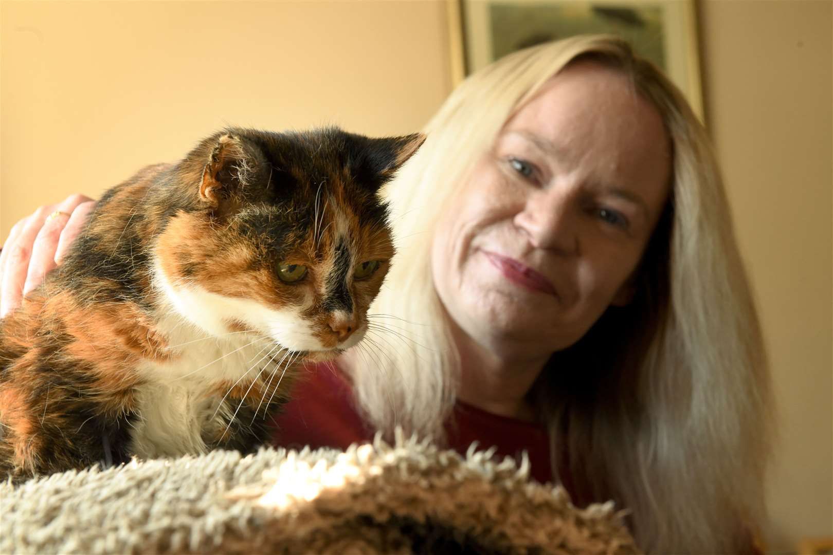 Caley the 23 year old cat with her owner, Sandra Nairne Picture: James Mackenzie