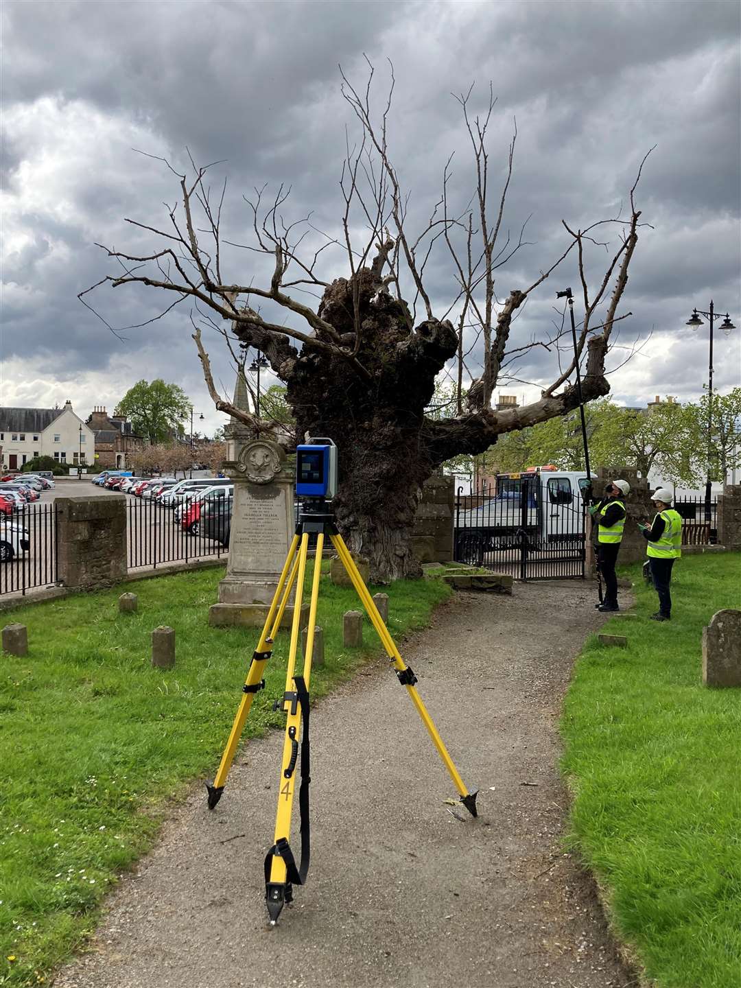 A team from Historic Environment Scotland carries out a laser scan of the Beauly Elm.