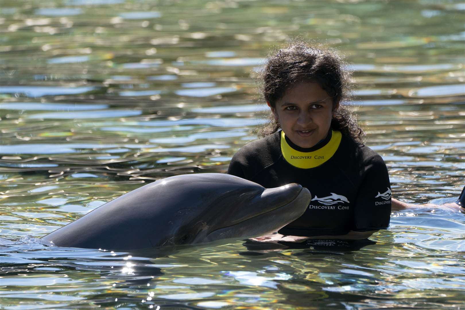 Safa Thagia said swimming with dolphins was ‘the most amazing experience’ (Kirsty O’Connor/PA)