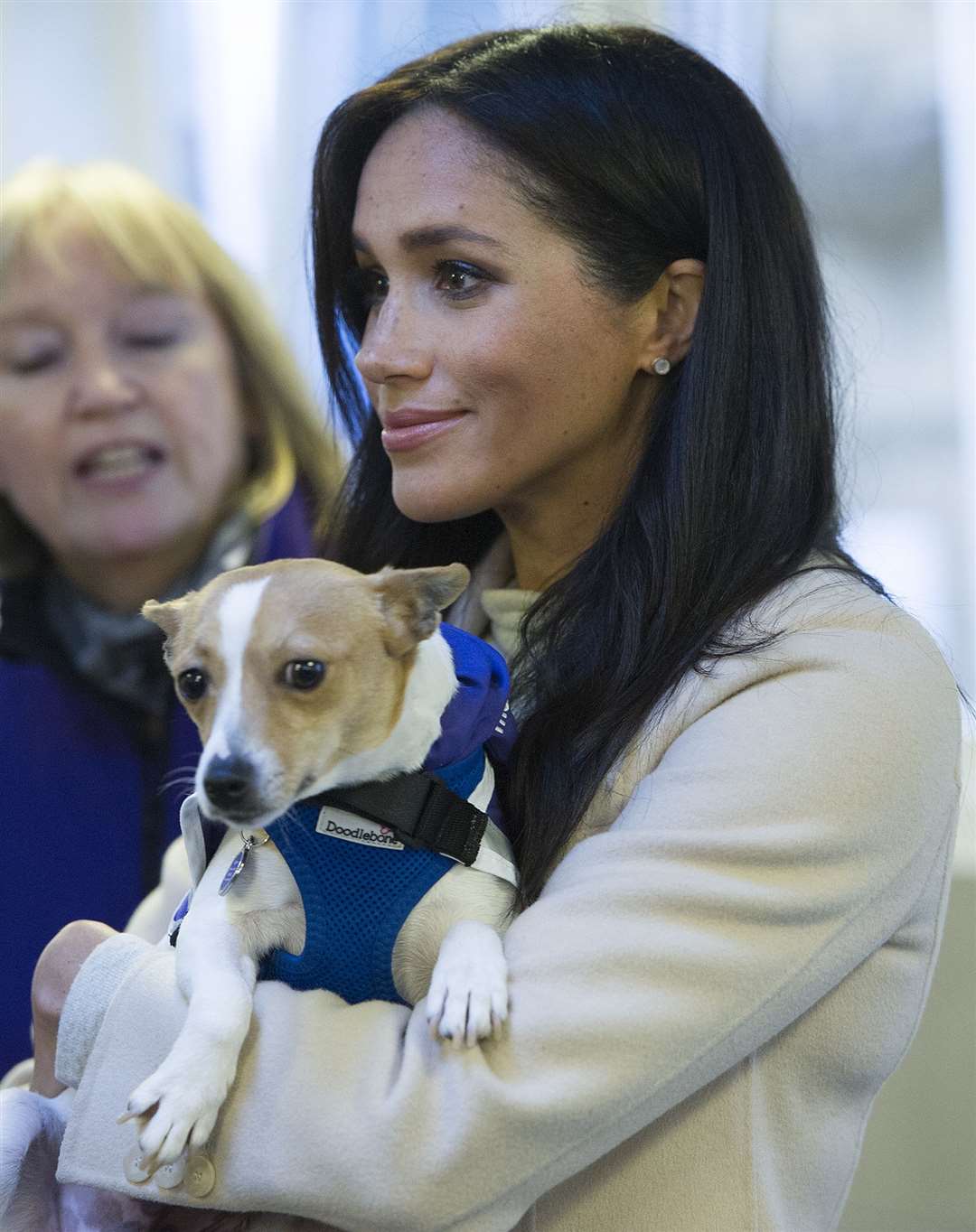 The duchess with a Jack Russell called Minnie during a visit to Mayhew, an animal welfare charity in 2019 (Eddie Mulholland/Daily Telegraph/PA)