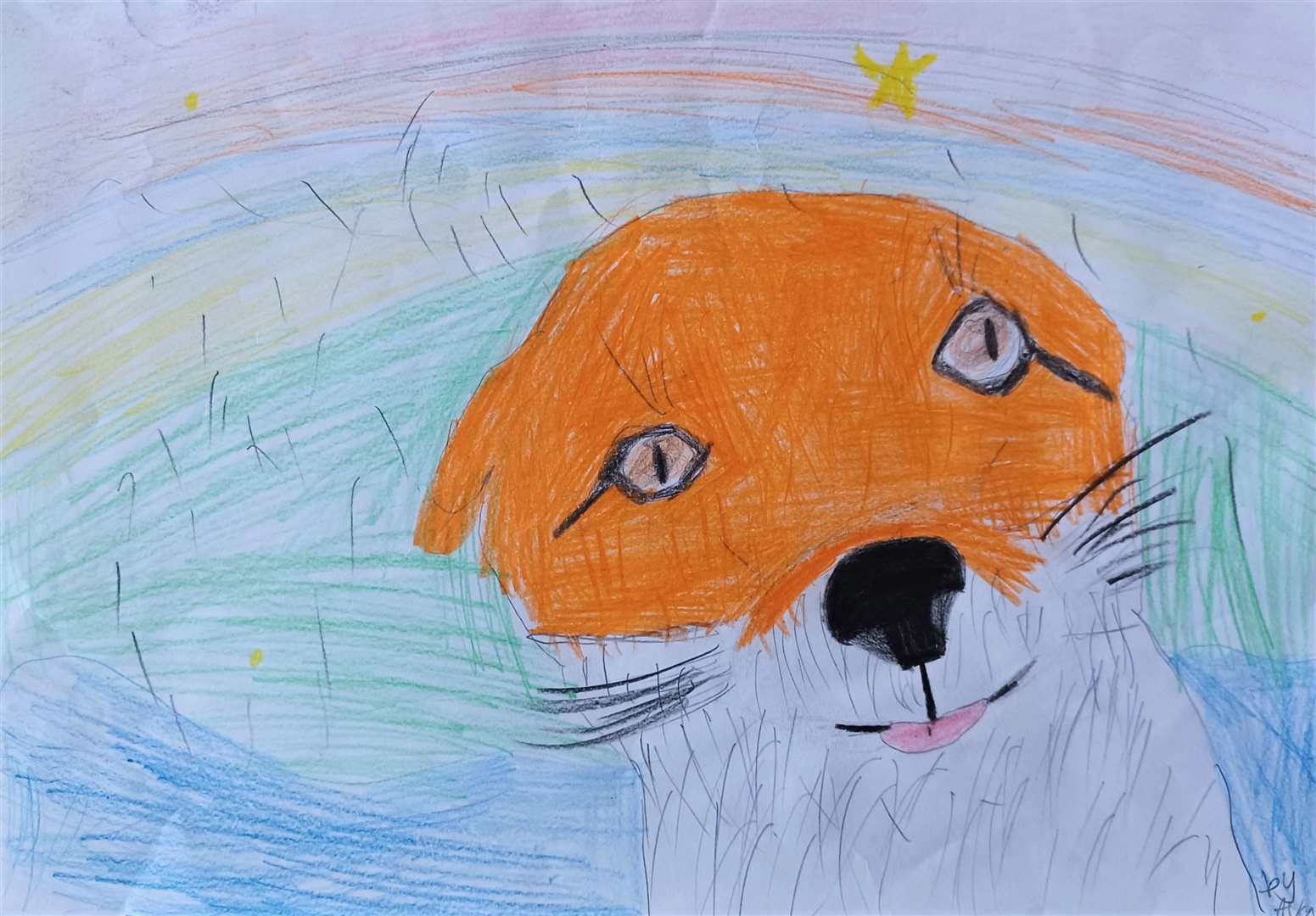 This painting of a fox by Ava Gunn at Golspie Primary School won in the individual category. Picture: Andy Summers/HLH