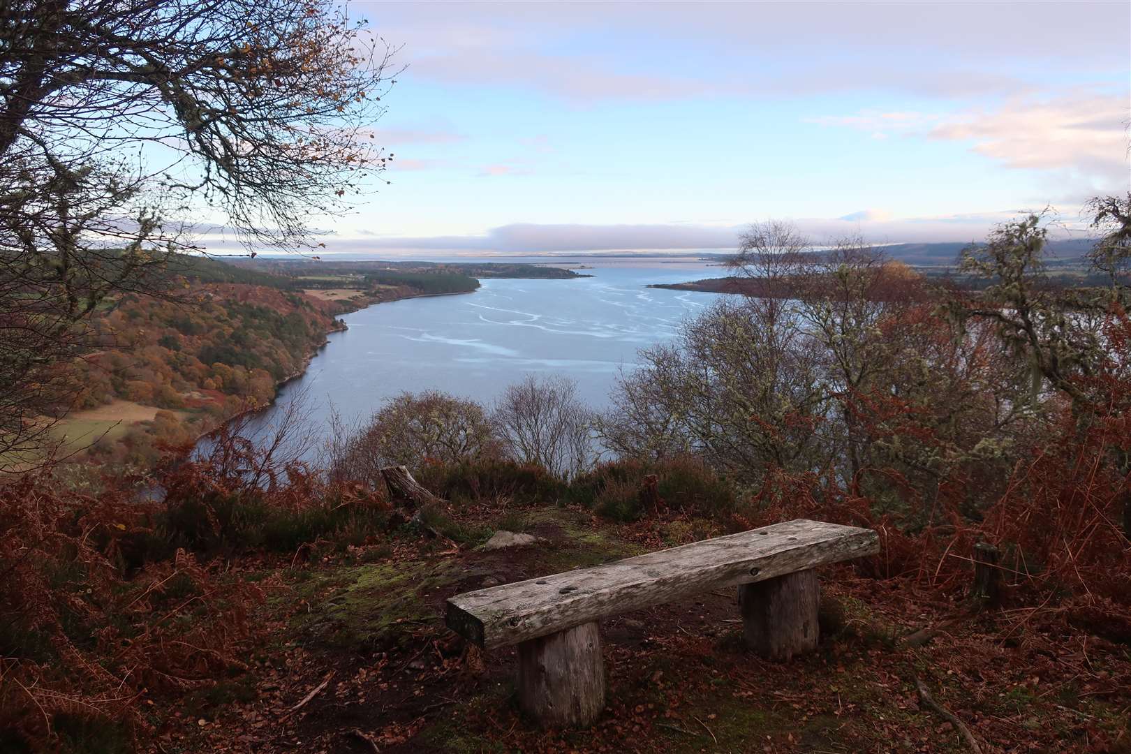 The Dornoch Firth from the end of the path in the Ledmore oakwood.