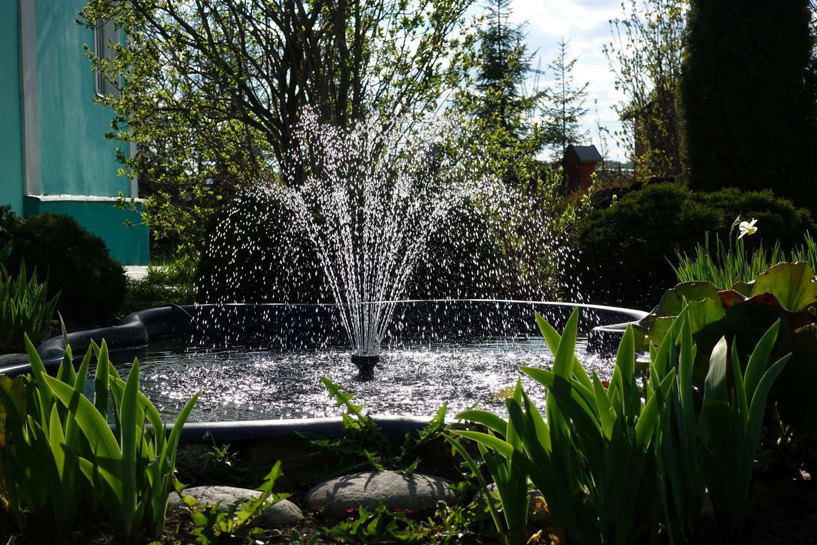 A small fountain makes an attractive feature.