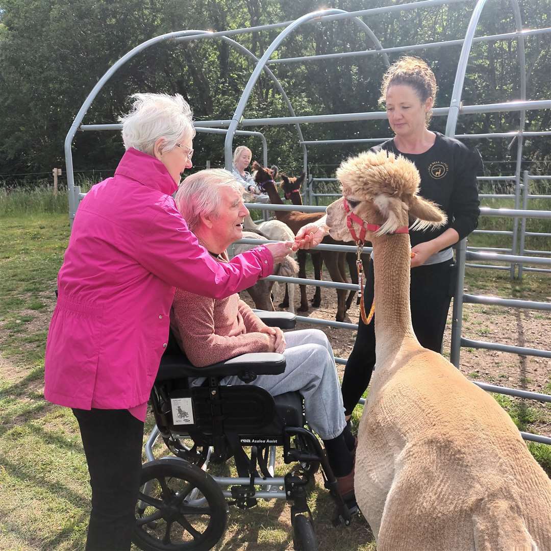 Culduthel Care Home's Murdoch McPherson and Doreen Mackay with one of the Loch Ness Alpacas