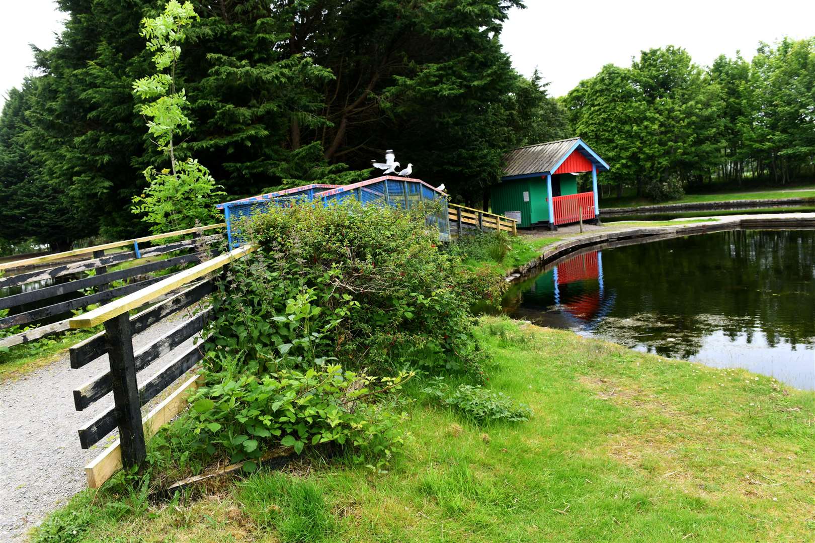 The boating pond has long been a popular attraction at Whin Park.